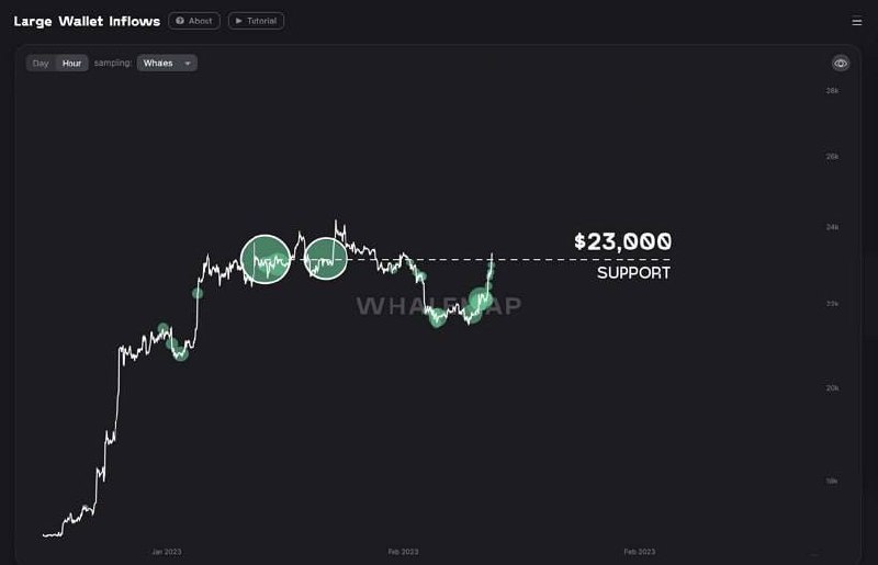 🖼 🦋По данным Whalemap BTC прошёл сильный уровень сопротивления на отметки в 23 000$ и теп...