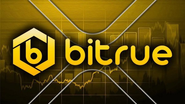 🖼 У криптоплатформы Bitrue похитили 23 млн долларов Криптовалютная биржа Bitrue сообщи...