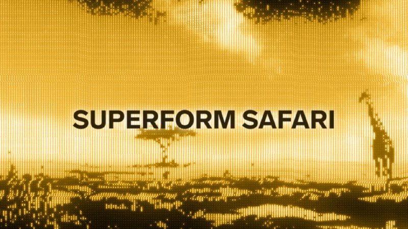 🖼 🎮 Superform анонсировали Superform Safari 🎮 🔆 Superform Safari будет состоять из турниров, котор...