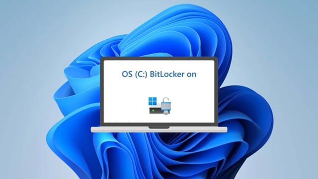 🖼 Windows 11 при установке включает Bitlocker – это отличный шанс потерять данные